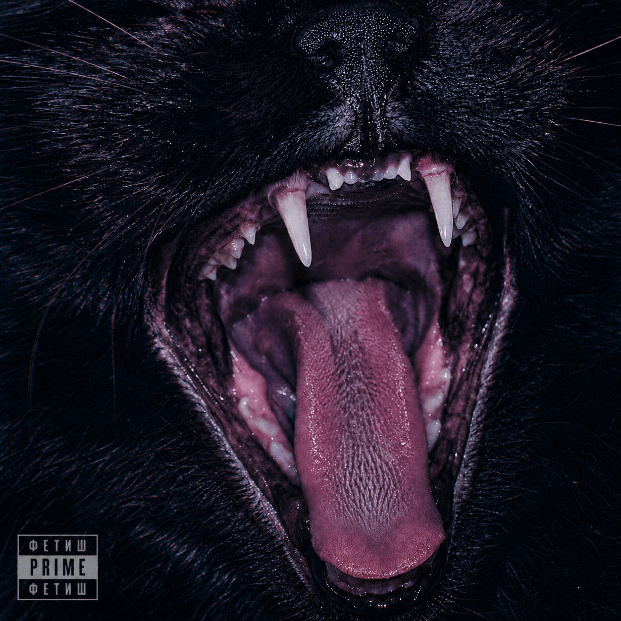 FETISH — PRIME
